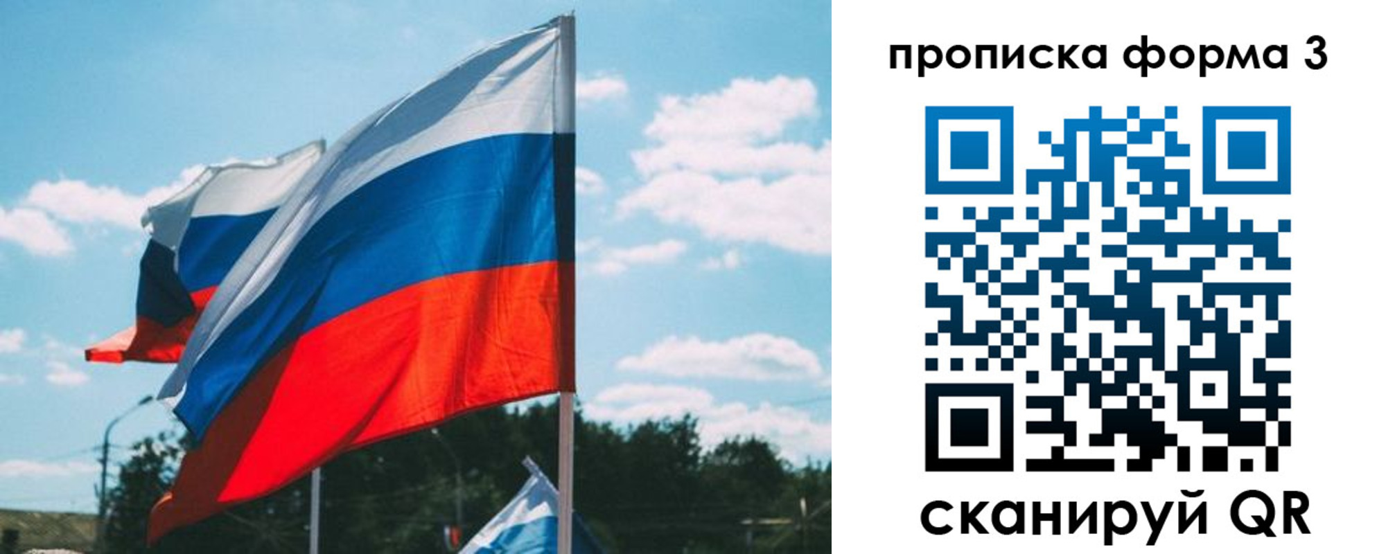 прописка в Сольцах