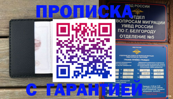 купить прописку в Сольцах